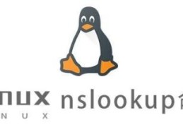 Linux中nslookup命令有什么用