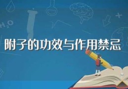 附子的功效与作用禁忌(关于附子的功效与作用禁忌)