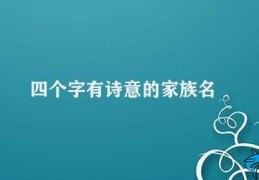 四个字有诗意的家族名(恩怀家族)