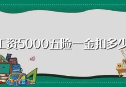 工资5000五险一金扣多少(工资5000五险一金的应缴金额)