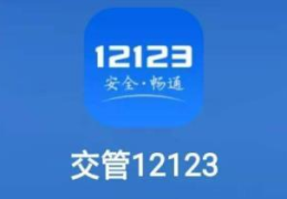 交管12123怎么交罚款处理违章(交管12123怎么交罚款)