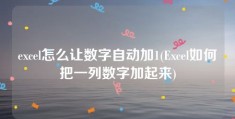 excel怎么让数字自动加1(Excel如何把一列数字加起来)