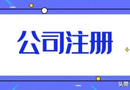 个人开公司的办理流程(申请公司的流程和费用)