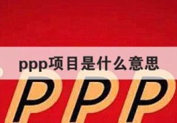 ppp项目是什么意思(一句话讲清楚(到底啥是PPP))