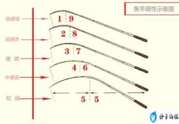 鱼竿硬度和调性对照表(不同调性硬度钓竿的特点)