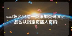 word怎么只给一页添加页码(Word怎么从指定页插入页码)