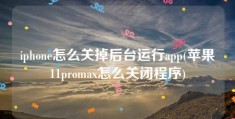 iphone怎么关掉后台运行app(苹果11promax怎么关闭程序)