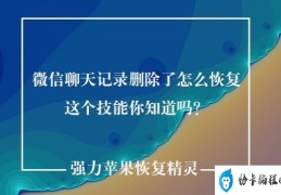 微信记录恢复软件哪个好(微信聊天记录删除了的恢复方法)