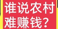 乡镇冷门暴利生意(乡镇开什么店比较有市场)