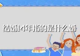 结婚14年指的是什么婚(结婚14年叫什么婚)