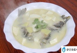 鲫鱼豆腐汤的正确做法(厨师长教你鲫鱼豆腐汤做法)