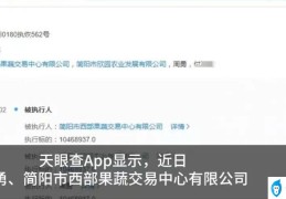 周震南父亲周勇被恢复执行1046万(为什么周震南不帮忙还钱)