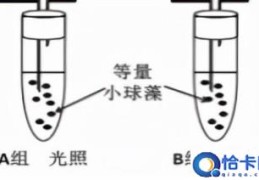 每日一页高考倒计时日历(每日打卡2022高考倒计时233天)