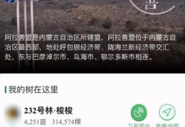 支付宝蚂蚁森林偷能量(支付宝蚂蚁森林是真的吗)