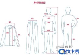 xl是多少尺寸(特大码)