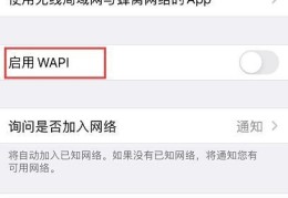 启用wapi是什么意思(iPhone启用 WAPI的意思)