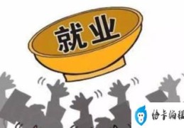 日本65岁以上就业人数达909万(日本高龄就业者数连续18年增加)