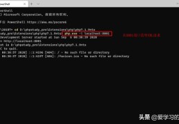 PHP内置Web服务器的使用（专用于开发调试和命令行）