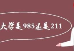 山西大学和山东大学哪个综合实力强(湖北大学是211吗还是985)