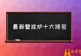 燃气灶买什么牌子，什么型号的好？(最新壁挂炉十大排名)