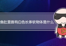 鱼肚子里白色的是什么(鱼肚里面的白色长条状物体是什么东西)