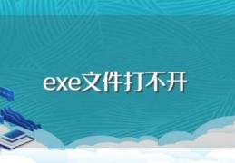 exe文件打不开(电脑的exe文件打不开怎么办)