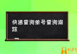 邮政单号怎么从网上查询？(快递查询单号查询追踪)