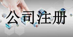 个人注册公司需要什么材料和手续(注册公司需要什么材料和手续)