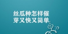 丝瓜种怎样催芽又快又简单(西瓜种子催芽的多种方式)