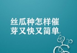 丝瓜种怎样催芽又快又简单(西瓜种子催芽的多种方式)