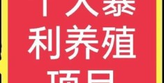 十大高收益养殖项目(养殖什么好养又赚钱)