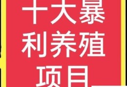 十大高收益养殖项目(养殖什么好养又赚钱)