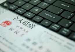 手机上怎样查个人征信(手机上怎么查征信)