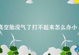 真空胎没气了打不起来怎么办小车(如何应对真空胎没气的问题)