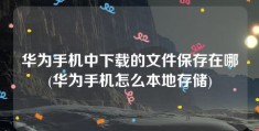 华为手机中下载的文件保存在哪(华为手机怎么本地存储)