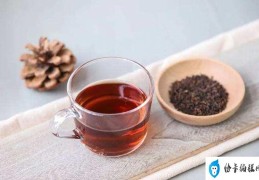 煮茶和泡茶有什么样的区别（煮茶和泡茶的本质区别在哪）