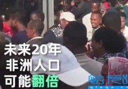 全球人口数量2019年统计(2019年美国总人口多少亿)