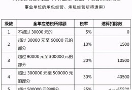 最新个体户个人所得税(个体工商户个人所得税怎么算)