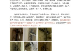 理想车主割开座椅海绵发现不少水银：证明水银很早就有了