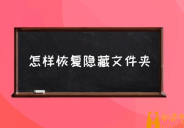 手机隐藏文件夹怎么显示？(怎样恢复隐藏文件夹)