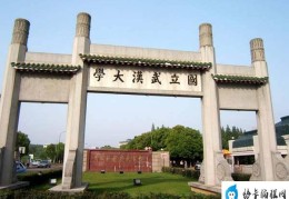 中国最美的十所大学(武汉大学以樱花而出名)