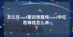 怎么在word里边加直线(word中红色等线怎么弄)