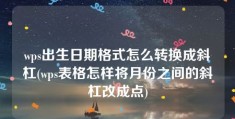 wps出生日期格式怎么转换成斜杠(wps表格怎样将月份之间的斜杠改成点)