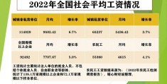 社平工资是什么意思(个人收入比社平工资低吗)