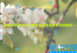 包粽子的米为什么要泡(粽子米泡多长时间最好)