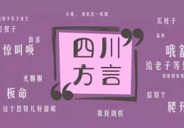 方言哈子就是普通话蠢笨的意思(四川话哈子是什么意思)