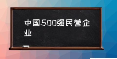 500强企业是哪些？(中国500强民营企业)