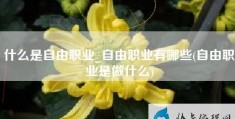 什么是自由职业自由职业有哪些(自由职业是做什么)