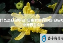 什么是自由职业自由职业有哪些(自由职业是做什么)