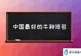 中国最好的牛种排名(中国本地黄牛品种？)